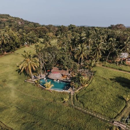 Nelu Resort สิกิริยา ภายนอก รูปภาพ