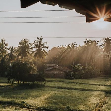 Nelu Resort สิกิริยา ภายนอก รูปภาพ