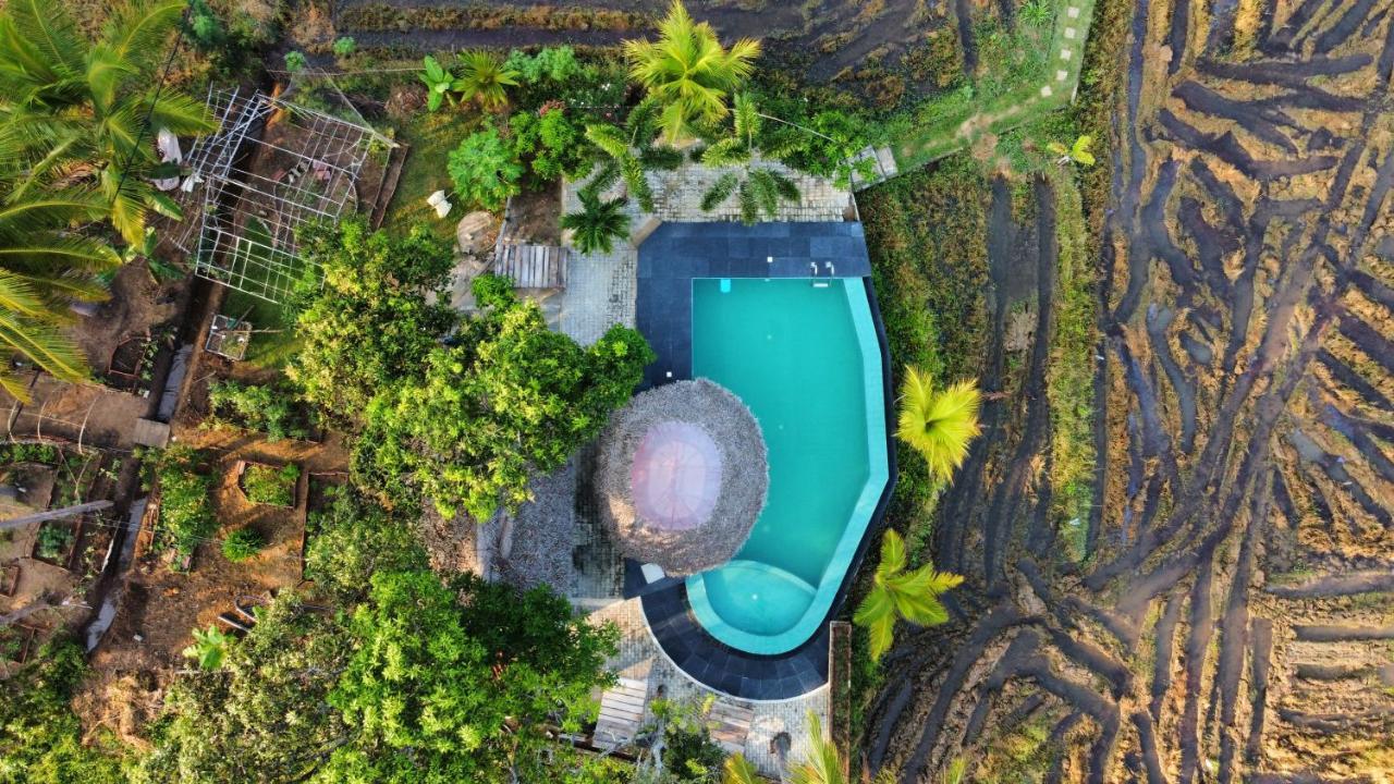 Nelu Resort สิกิริยา ภายนอก รูปภาพ
