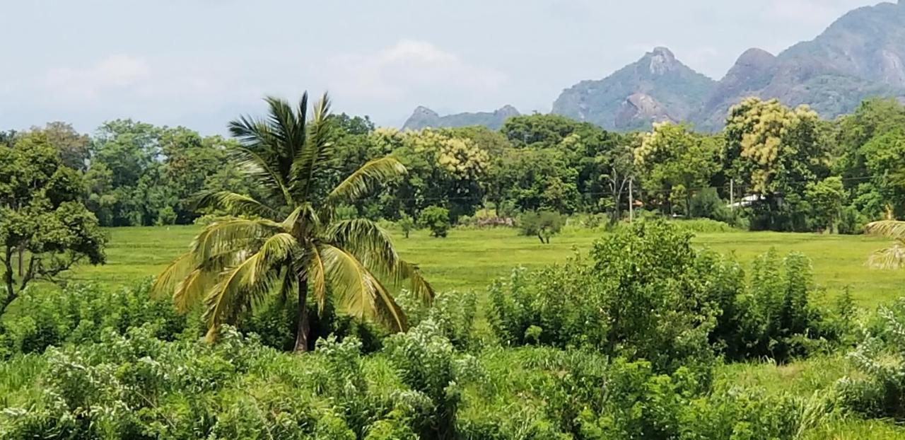 Nelu Resort สิกิริยา ภายนอก รูปภาพ