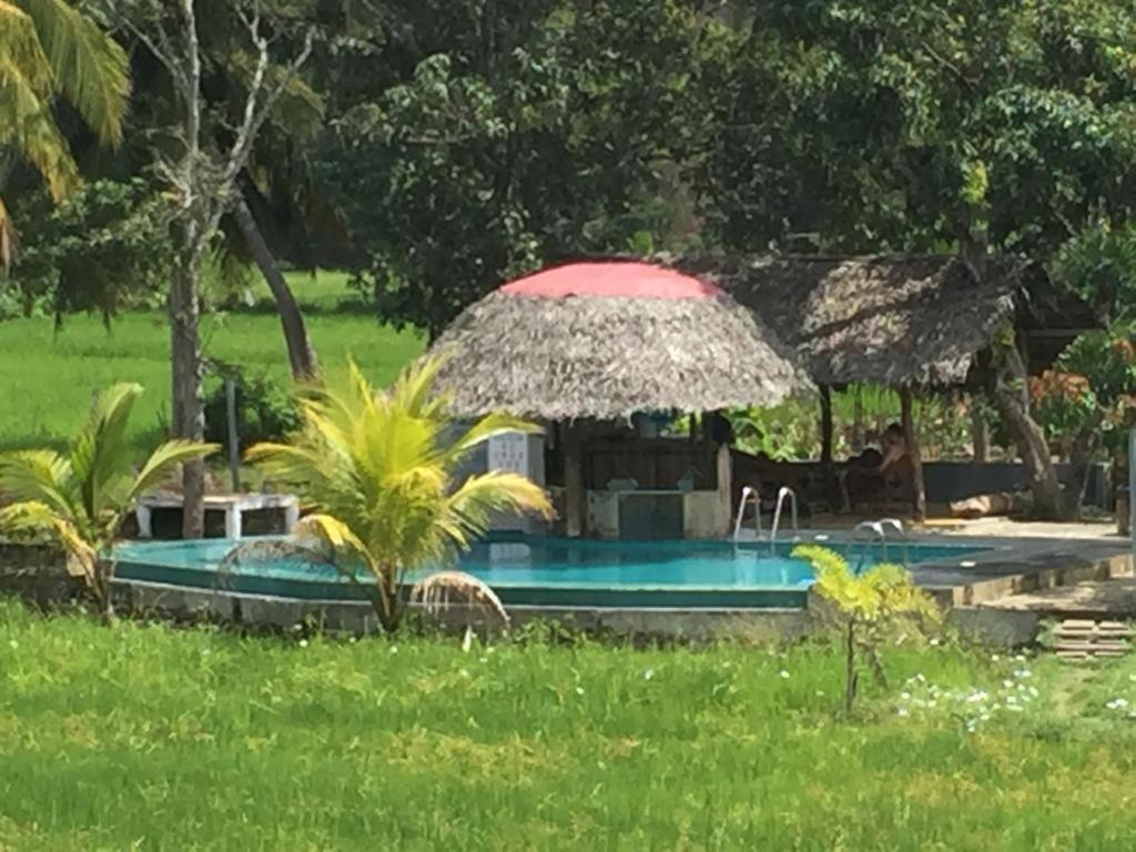 Nelu Resort สิกิริยา ภายนอก รูปภาพ