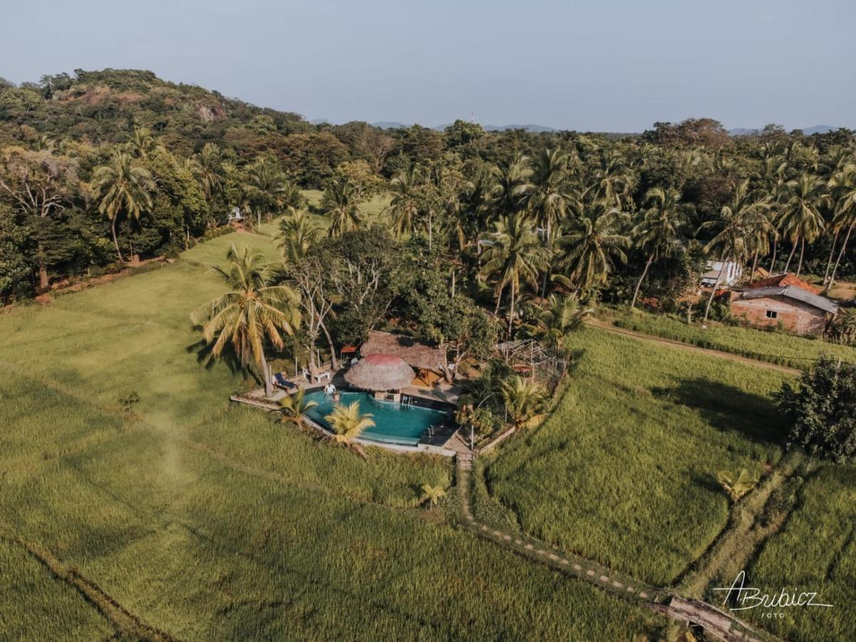 Nelu Resort สิกิริยา ภายนอก รูปภาพ