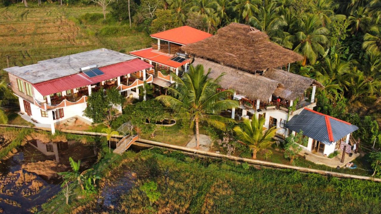 Nelu Resort สิกิริยา ภายนอก รูปภาพ