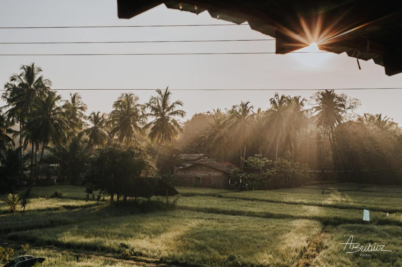 Nelu Resort สิกิริยา ภายนอก รูปภาพ