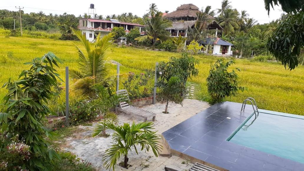 Nelu Resort สิกิริยา ภายนอก รูปภาพ
