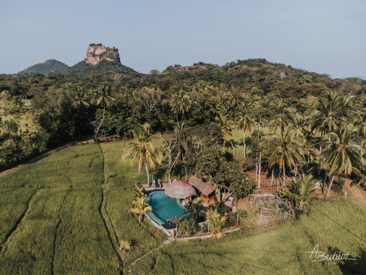 Nelu Resort สิกิริยา ภายนอก รูปภาพ